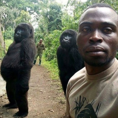 ✪ 𝐑𝐨𝐥𝐥 𝐢𝐭 𝐫𝐦𝐱 ✪