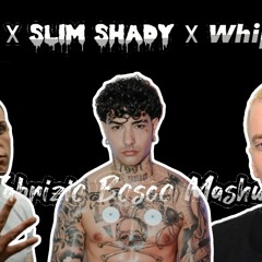 Tony Effe ft. Eminem & Rhove - Boss x Slim Shady x Whip Whip (Fabrizio Bosco Mashup)
