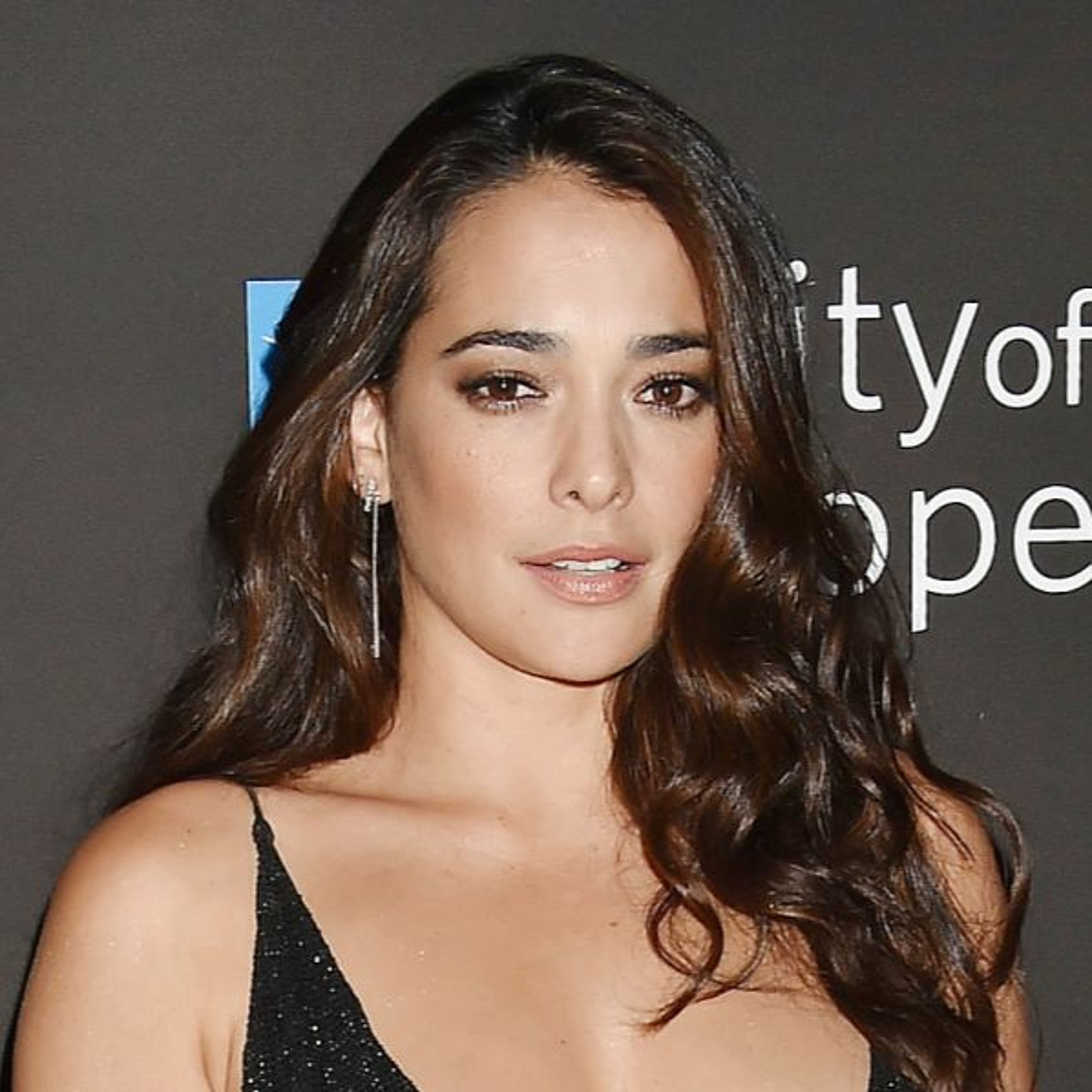 Natalie Martinez on Breaking it Down with Frank MacKay - Ordinary Joe