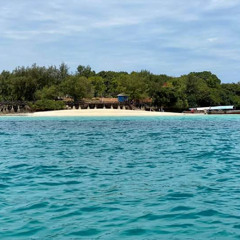 Attractions in Zanzibar for Every Traveler