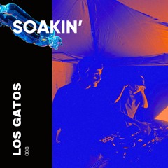 SOAKIN' Podcast 008 - Los Gatos