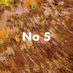 No 5
