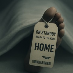 On Standby (Ready To Fly Home)