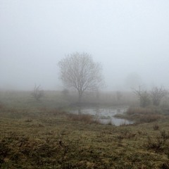 Am Windknollen