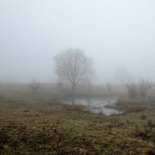 Am Windknollen