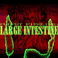 PUPPET PIPELINE:LARGE INTESTINE