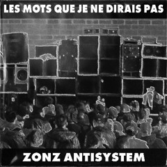 LES MOTS QUE JE NE DIRAIS PAS