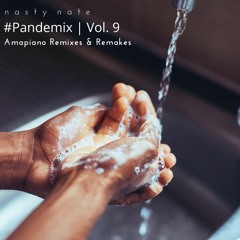 #Pandemix Vol 9 | Amapiano Remixes & Remakes