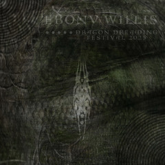 Ebony Willis @ Dragon Dreaming Festival 2025