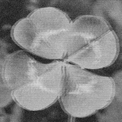 if i knew i'd lose you