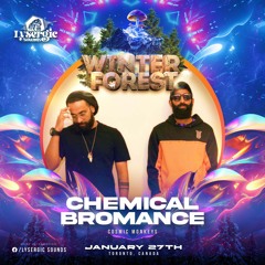 Chemical Bromance - "Hi-Tech Forest" - Live From WINTER FOREST By Lysergic Sounds