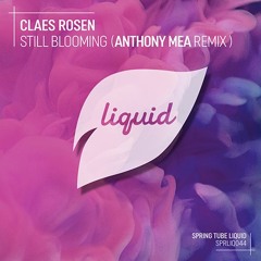 SPRLIQ044 | Claes Rosen - Still Blooming (Anthony Mea Remix)