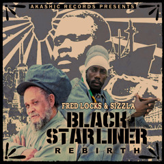 Black Star Liner Rebirth Version