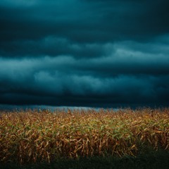 A Storm Is Coming