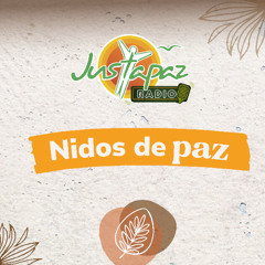 NIDOS DE PAZ - LA RECONCILIACIÓN Y SUS EXPERIENCIAS EN EL TERRITORIO