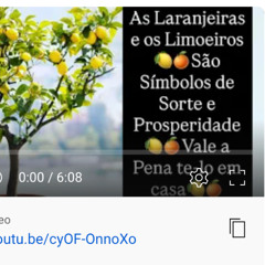 As Laranjeiras e os Limoeiros🍋🍊São Símbolos de Sorte e Prosperidade🍋🍊