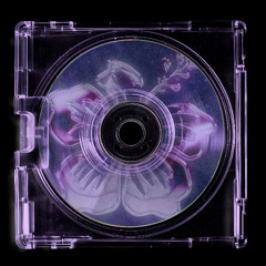 BRILL - Good Times [DID006]