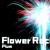 Artwork for Flower Rocket