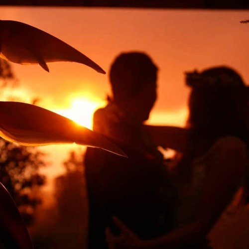 Stream Ladyfingers Lofi by Cachet Listen online for free on SoundCloud