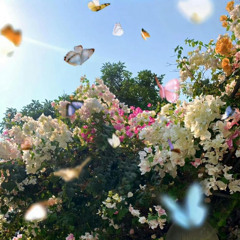 flower garden
