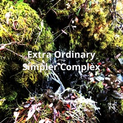 Simpler Complex - Extra Ordinary