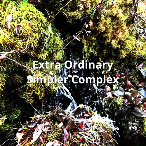 Extra Ordinary