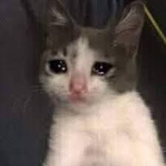 Shiloh Dynasty - Situations Remix (Delulu)