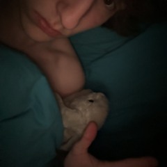 пустые слезы