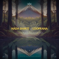 PREMIERE: Looprana - Madre Tierra [Ixitia Records]