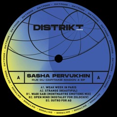 Premiere : Sasha Pervukhin - Wabi Sabi (Monmarte Emotions Mix) (DKTP006)
