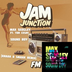 Track Junction Tuesday - 20th April 2021 - Max Sedgley "Sound Boy (Kraak & Smaak Remix)