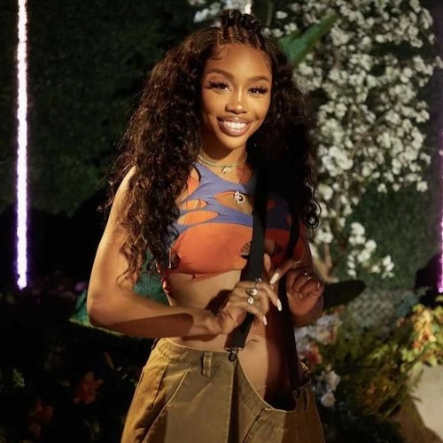 Stream Sarah Listen To SZA In Bloom Concert Playlist Online For Free 