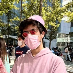 Rata De Laboratorio N1