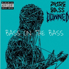 BASS ON THE BASS