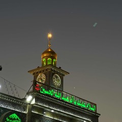 ٣١٣