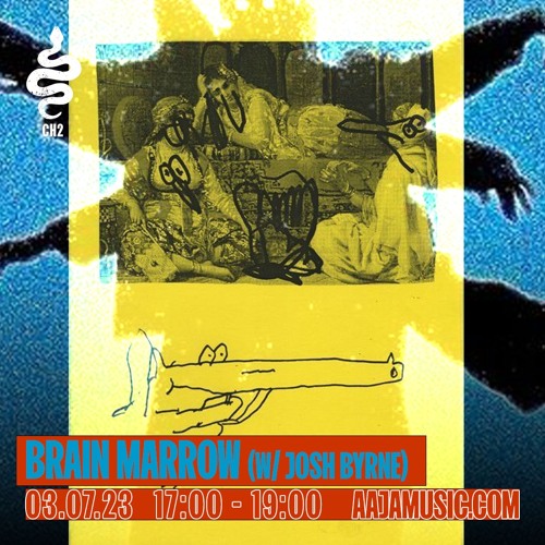 Brain Marrow w/ Josh Byrne - Aaja Channel 2 - 03 07 23