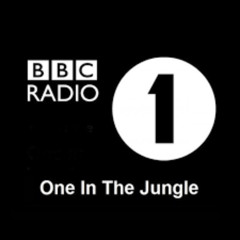 DJ HYPE MC NAVIGATOR ONE IN THE JUNGLE BBC RADIO ONE PARTY