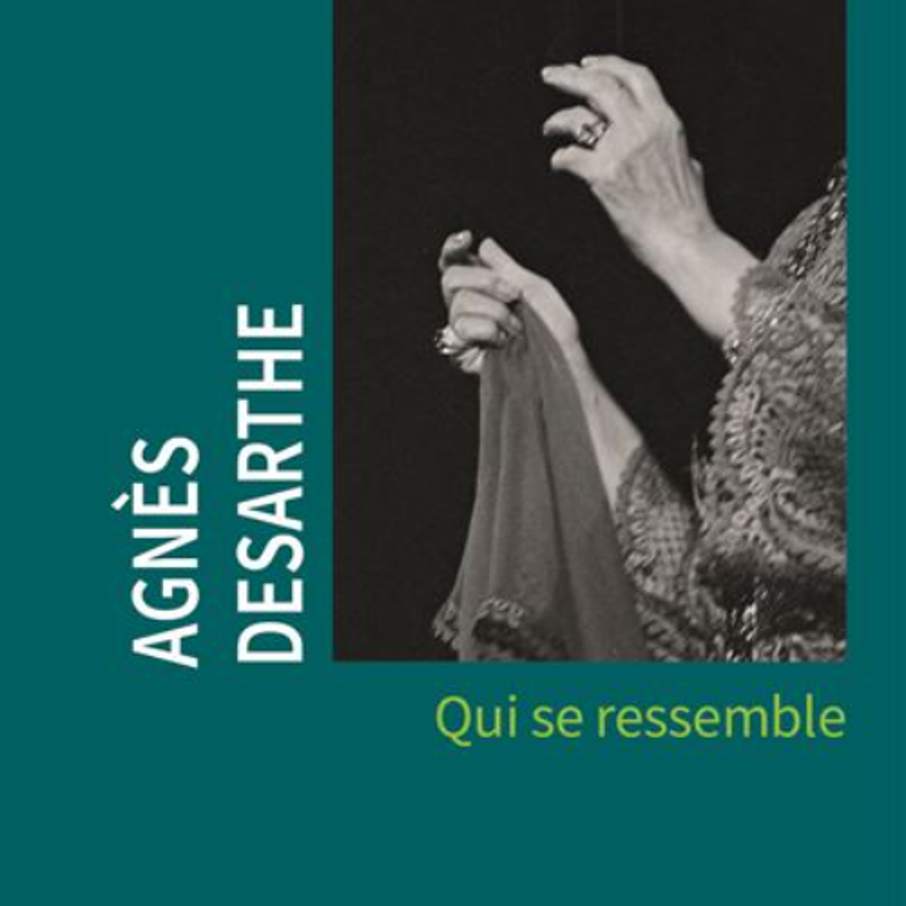 Agnès Desarthe - le livre le plus intime de son œuvre est né d’un pur hasard episode artwork