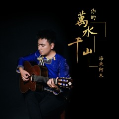 你的万水千山 (Dj可乐版)