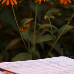 Still Things Move live excerpt Opening minute