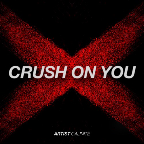 House | CALINITE - Crush On You