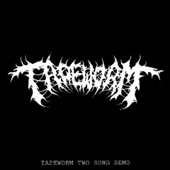 TAPEWORM TWO SONG DEMO