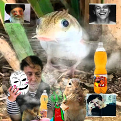 UMⵛⴷSSⴷ ⴼ FASUIJI