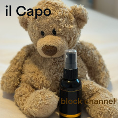 il Capo
