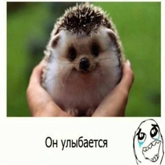 поза - Nash Slone, lil jordan