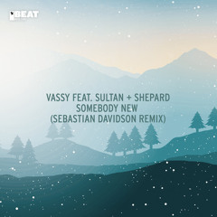 Somebody New (Sebastian Davidson Remix) [feat. Sultan + Shepard]