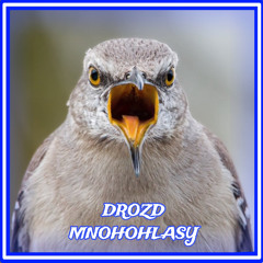 MockingBird (Drozd Mnohohlasy)