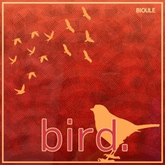 BIOULE - bird.