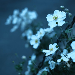 Sing / feat.符色