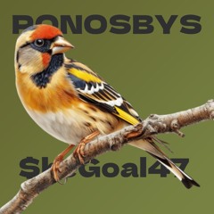 $heGoal47 - ponosbys